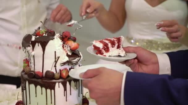 Cortar pastel de celebración — Vídeo de stock