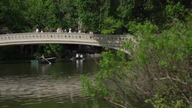 Bereketli yeşillik ve hareketli kürek tekneleriyle çevrili sakin bir göl üzerinde zarif bir köprü.