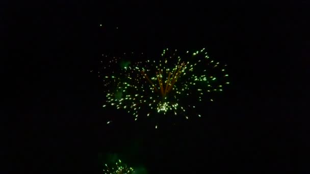 Firework Display Spectacular Fireworks Show — Stock Video