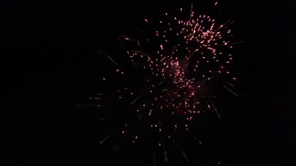 Vuurwerk Display Spectaculaire Vuurwerkshow — Stockvideo