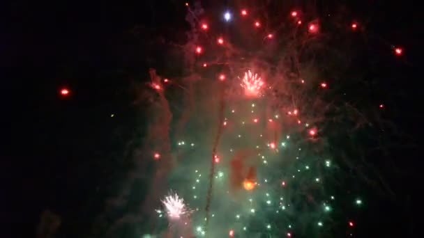 Wyświetlacz Firework Spektakularny Pokaz Sztucznych Ogni — Wideo stockowe