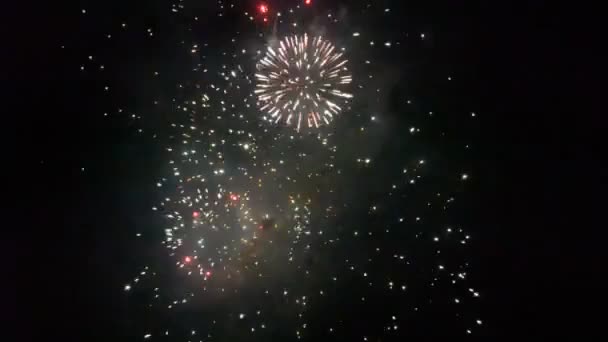 Wyświetlacz Firework Spektakularny Pokaz Sztucznych Ogni — Wideo stockowe