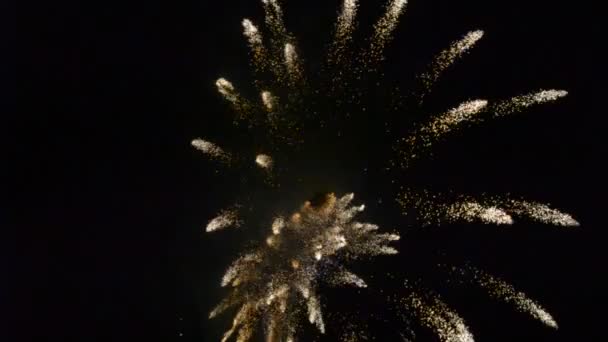 Affichage Feu Artifice Spectaculaire Feu Artifice Spectacle — Video