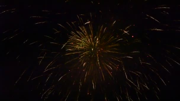 Feuerwerk Spektakuläres Feuerwerk — Stockvideo