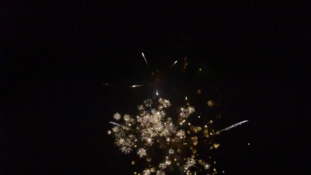 Feuerwerk Spektakuläres Feuerwerk — Stockvideo