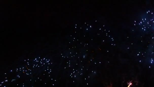 Firework Display Spectacular Fireworks Show — Stock Video