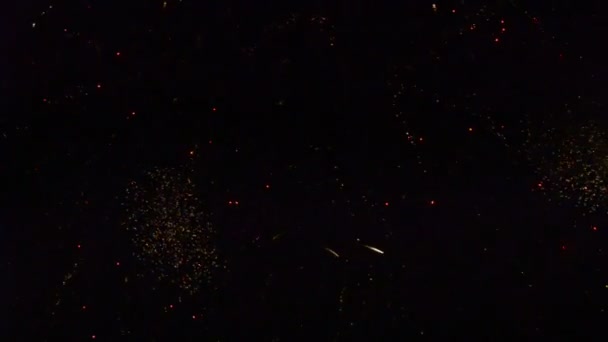 Vuurwerk Display Spectaculaire Vuurwerkshow — Stockvideo