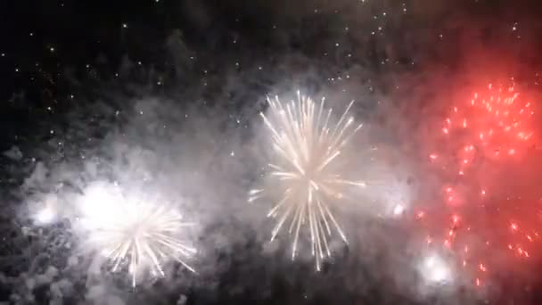 Wyświetlacz Firework Spektakularny Pokaz Sztucznych Ogni — Wideo stockowe