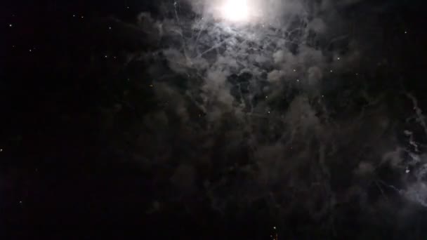 Wyświetlacz Firework Spektakularny Pokaz Sztucznych Ogni — Wideo stockowe