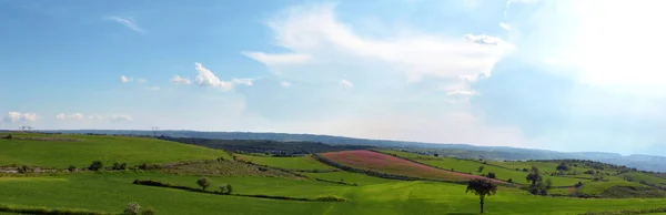 Landskap Med Stor Prärie Vacker Blå Himmel — Stockfoto