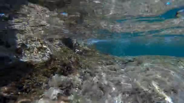 Под водой в море с песком, водорослями — стоковое видео
