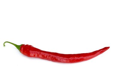 Kırmızı biber beyaz arka plan, Şili de rbol izole