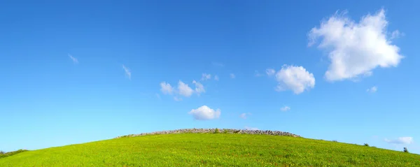 Hügel Mit Grünem Gras Und Blauem Himmel Mit Haufen — Stockfoto