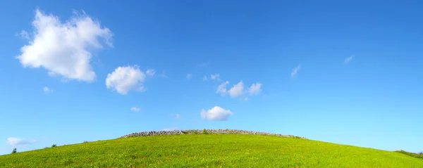 Hügel Mit Grünem Gras Und Blauem Himmel Mit Haufen — Stockfoto