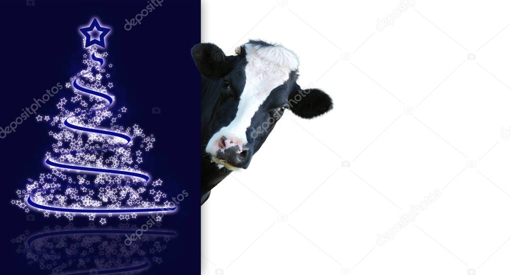 Friesian christmas greetings card with space for text
