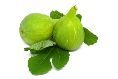 Beyaz arkaplanda yaprakları olan genel yeşil incir