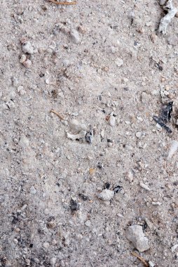 Yanmış ahşap kül dokusu arka planı