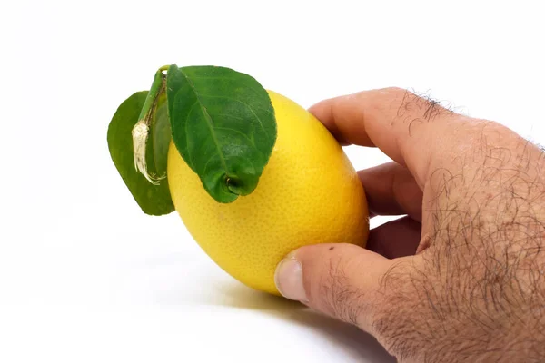 Сладкий Лимон Белом Фоне — стоковое фото