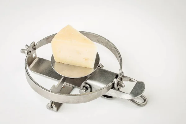 白い背景に対するチーズの一部を持つマウストラップ — ストック写真