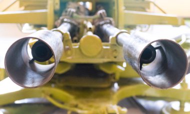 bir silah askeri yeşil şort ve