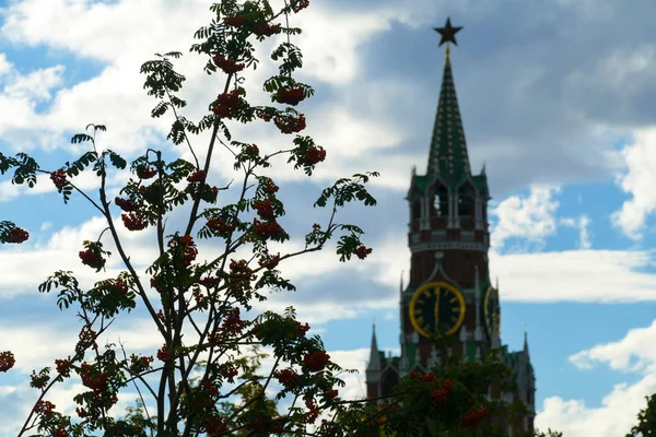 Turm des Kreml und der Eberesche — Stockfoto