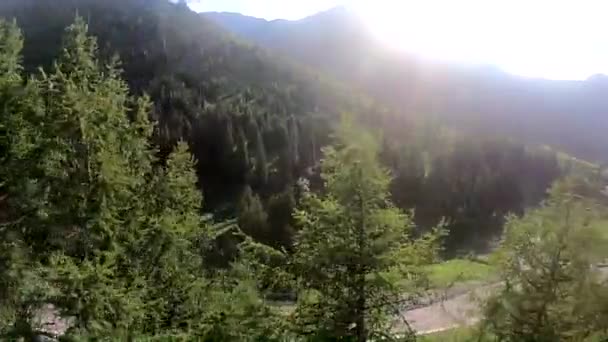 Voyage en voiture dans les forêts et les steppes — Video