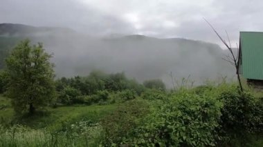Karadağ köyünün bahar manzarası 2019