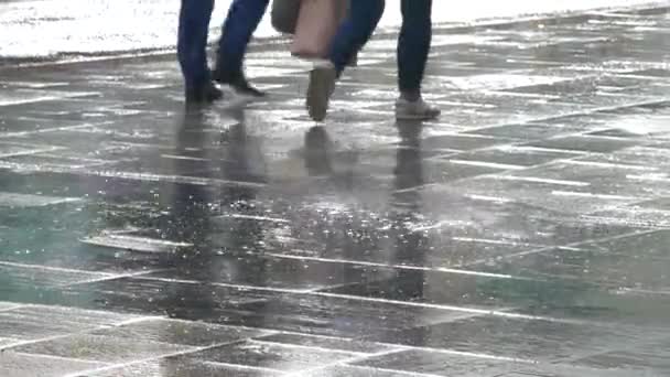 Lluvia en la ciudad en verano — Vídeos de Stock