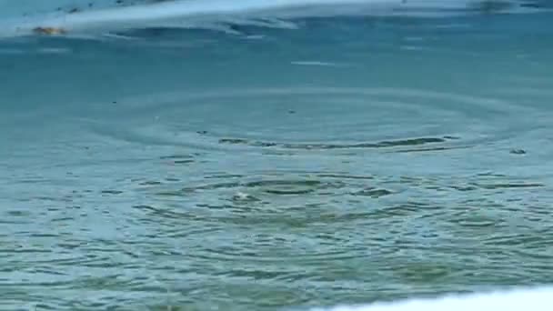 Regn bubblor droppande i poolen — Stockvideo