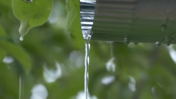 Gotas de chuva do ralo da casa — Vídeo de Stock