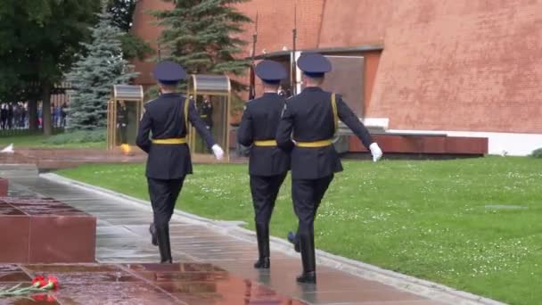 Сторож у гробницы неизвестного солдата - проход — стоковое видео