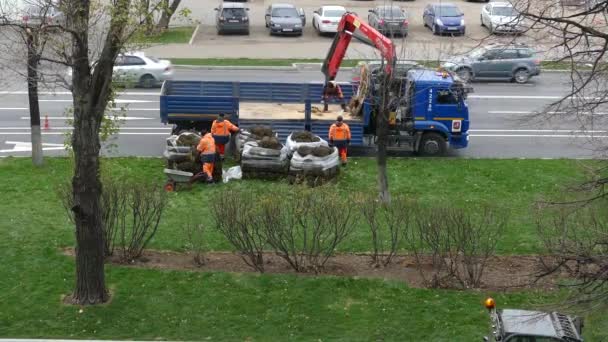 Fű tekercsben kirakodás 2019 Oroszország — Stock videók