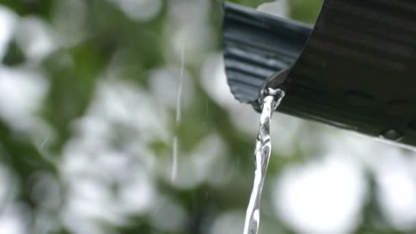 Chuva drena seus canos na cabana de verão — Vídeo de Stock