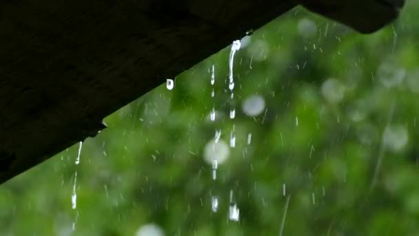 Rain in summer from the roof — Stock Video