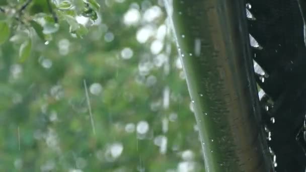 Дождь летом с крыши — стоковое видео