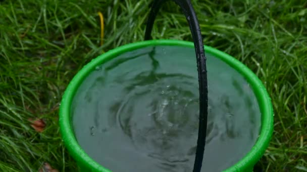 Caen gotas de lluvia en un cubo — Vídeos de Stock