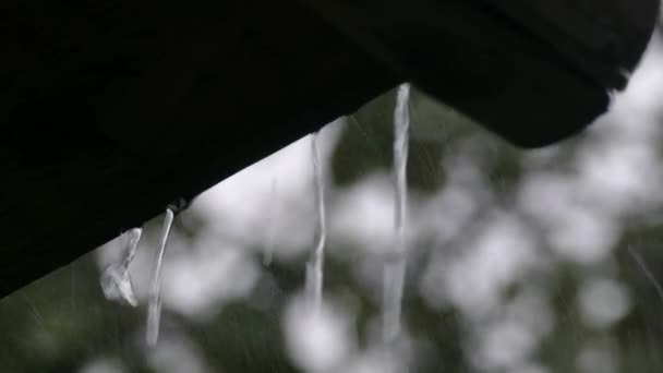 Gotas de lluvia cayendo del techo — Vídeo de stock