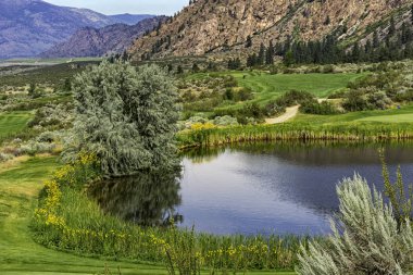 Osoyoos British Columbia Kanada Osoyoos göl ve dağ içinde belgili tanımlık geçmiş yakınındaki Okanagan Vadisi'nde bir golf sahası