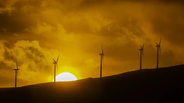 Rüzgar türbinleri, Maui Hawaii ABD bir turuncu günbatımı karşı
