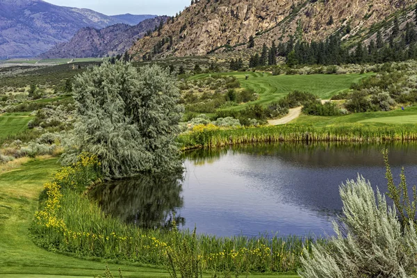 Campo Golf Valle Okanagan Cerca Osoyoos Columbia Británica Canadá Con — Foto de Stock