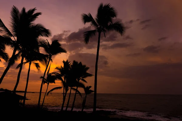 Kona sunset Big Island Hawaii — Stock Photo, Image