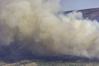 Pearchland British Columbia Kanada yakın bir orman yangını