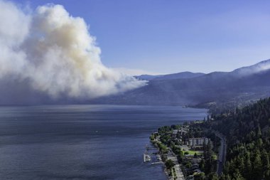 Pearchland British Columbia Kanada yakın bir orman yangını