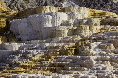 Jüpiter Teras, mamut sıcak Springs Yellowstone Milli Parkı Wyoming ABD