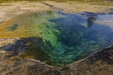 Yellowstone Millî Parkı Wyoming ABD alt şofben havzasında, kaplıca havuzu
