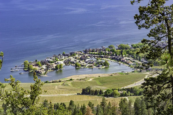 Veduta della suddivisione di Green Bay e del lago Okanagan dal Monte Boucherie a West Kelowna British Columbia Canada — Foto Stock