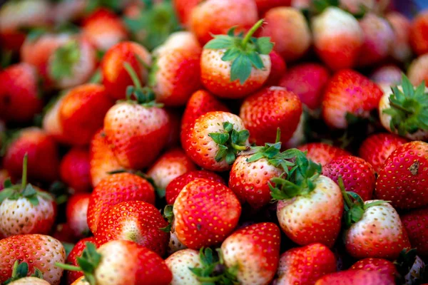 Çilek arka plan. Çilek meyve arka plan.