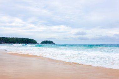 Deniz kıyısında hindistancevizi palmiyesi olan güzel tropik plaj.