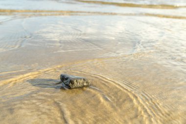 Kum su ile taş yakın çekim.