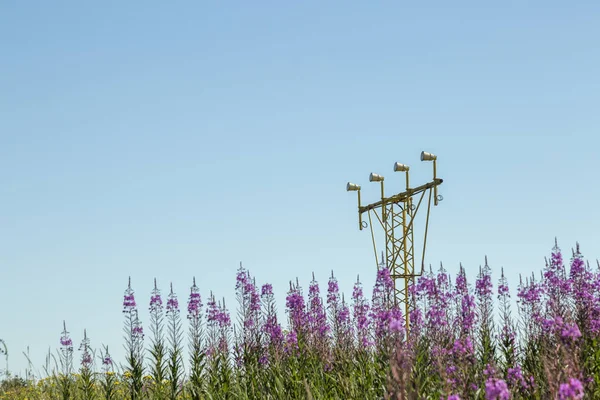 Fireweed Mavi Gökyüzü Ile Havaalanı Yaklaşım Işık Sistemi — Stok fotoğraf